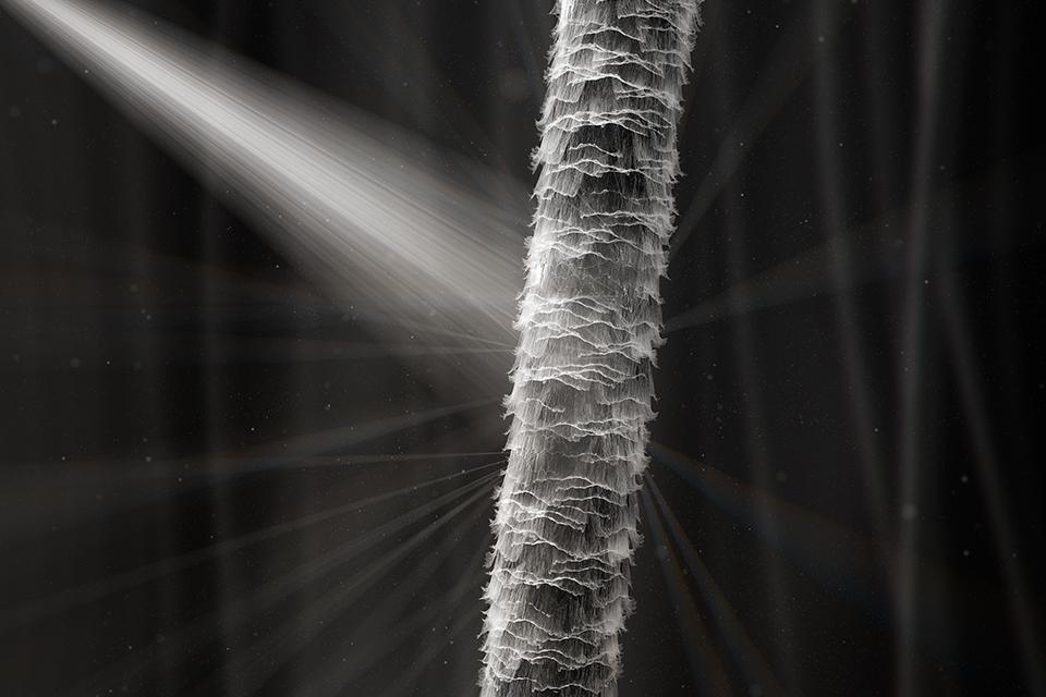 Dyson Supersonic Hair Dryers Argos