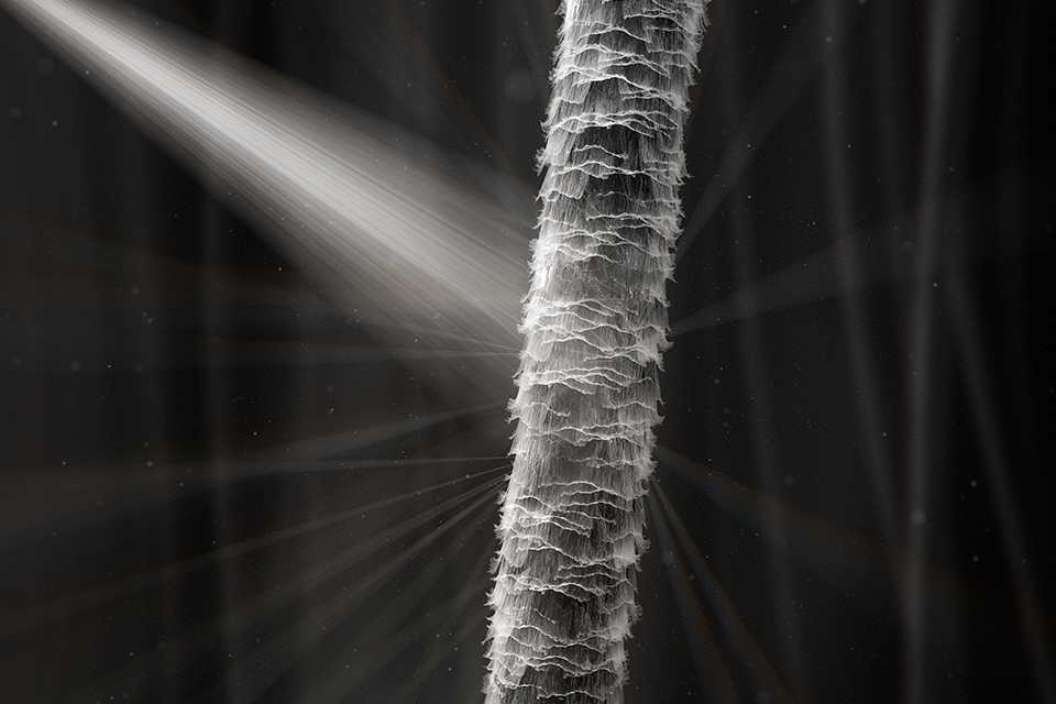 Dyson hair dryer argos deals