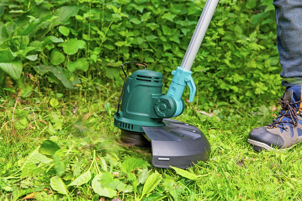 mcgregor electric strimmer