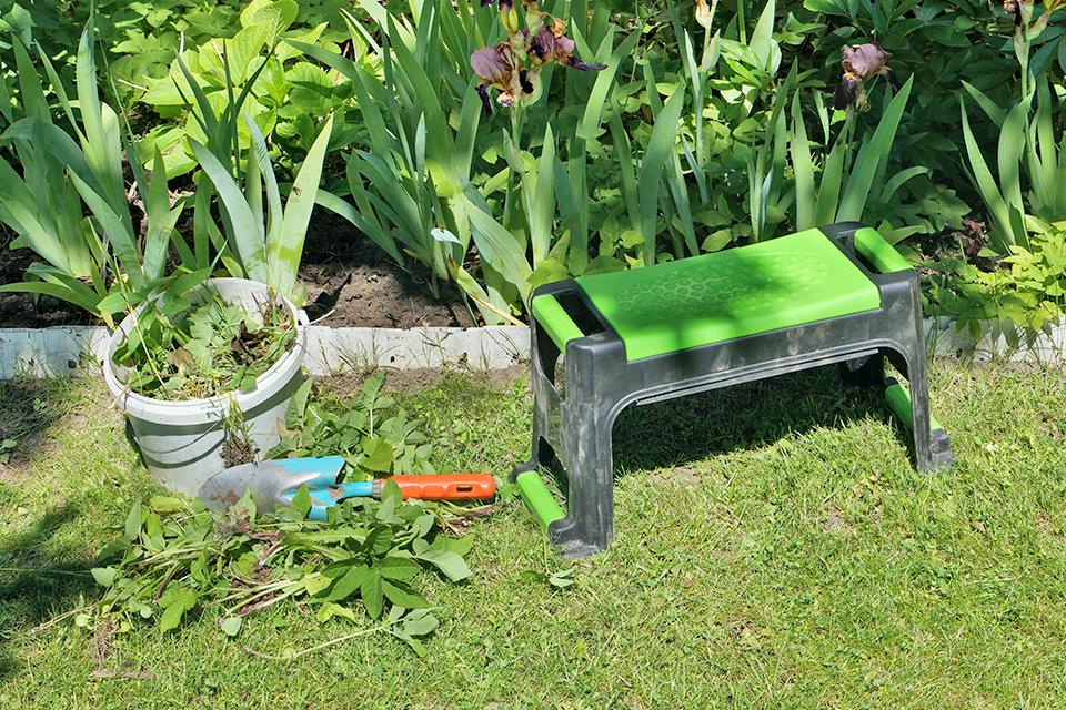 weeding-tools-tips-argos
