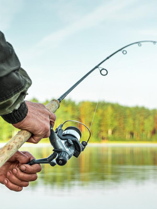 Our guide to the best fishing gear for beginners.