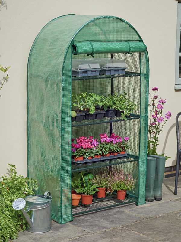 McGregor 4 tier mini greenhouse, with the door rolled up and full of plants.
