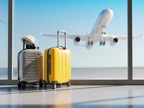 Argos small top flight bags