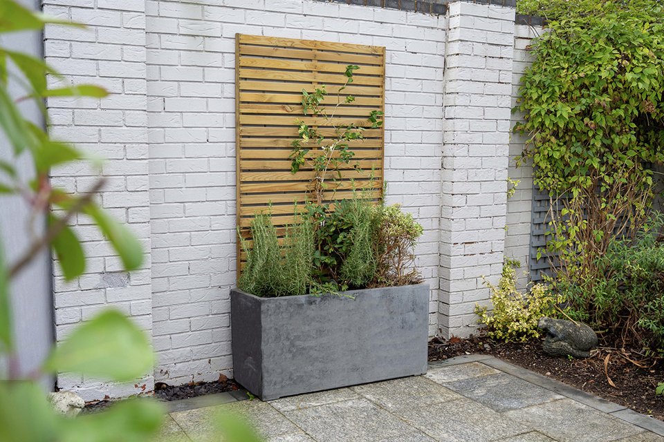 A Forest Slatted Trellis with a climbing plant on it placed outdoors against a stone wall. 