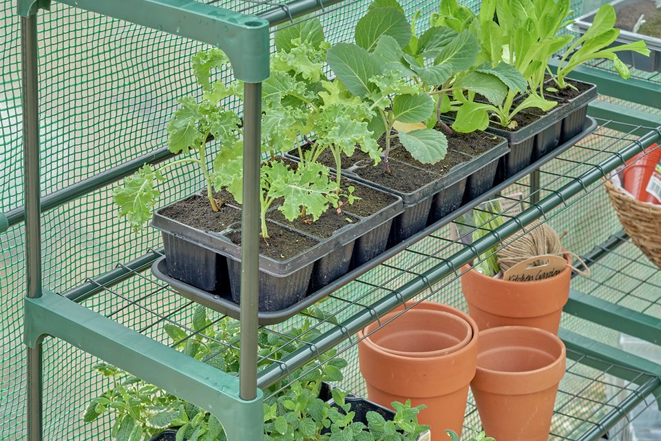 McGregor Greenhouse Shelving twin pack.
