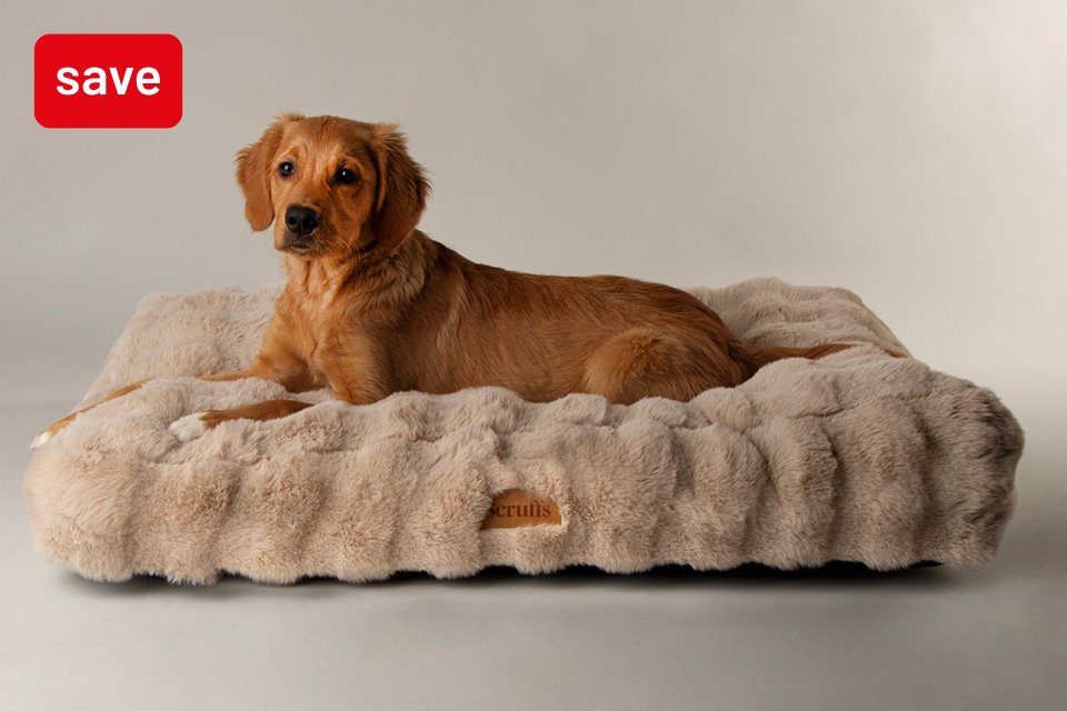 Save up to 30% on selected petcare. Savings for your furry friends.