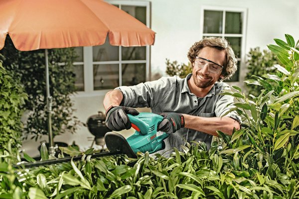Choosing the best hedge trimmer Argos