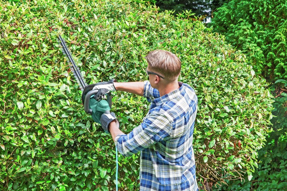 electric hedge trimmer argos