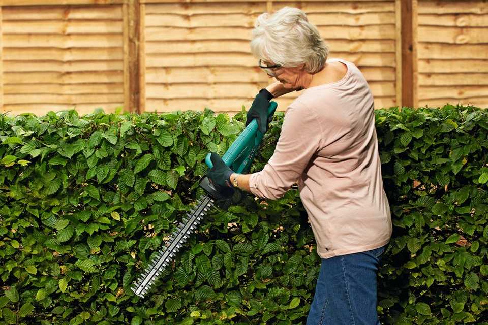 Choosing the best hedge trimmer Argos