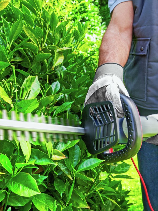 spear and jackson electric hedge trimmer