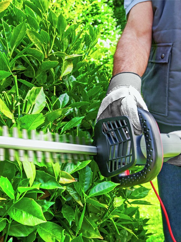 mcgregor 51cm cordless hedge trimmer