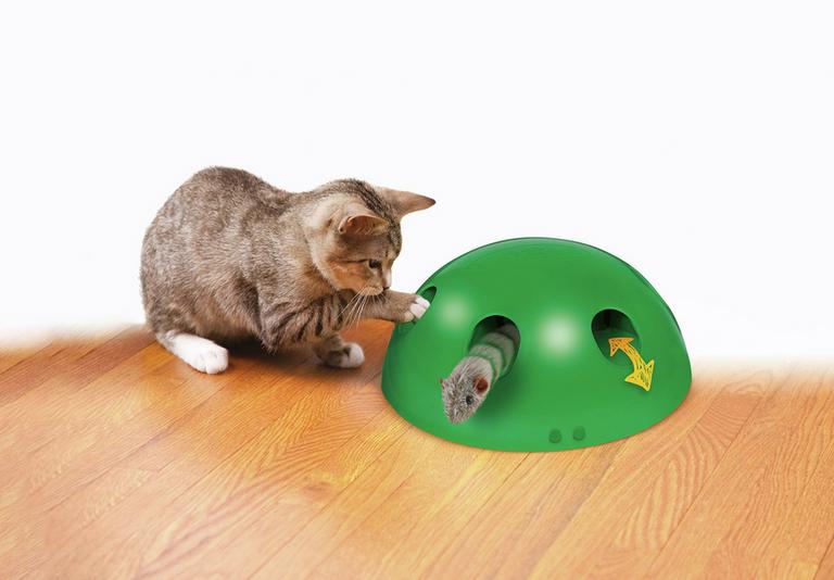 Cat Cat Accessories & Kitten Supplies Argos