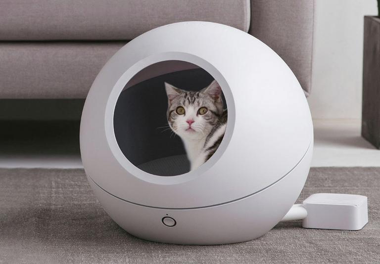 Cat Cat Accessories & Kitten Supplies Argos