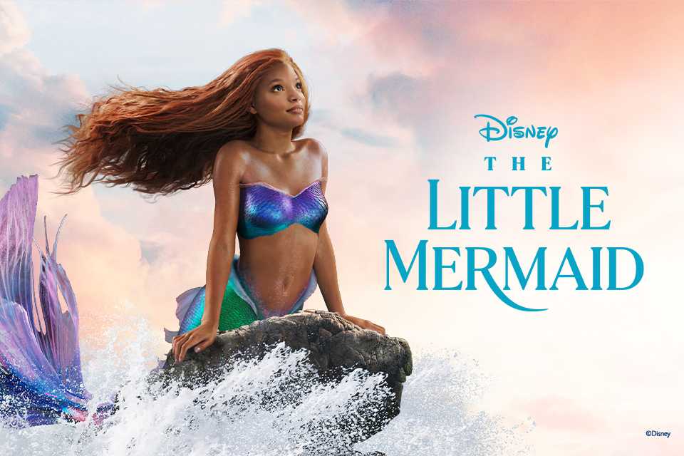 Ariel from Disney's The Little Mermaid.