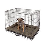 Dog travel crate argos hotsell