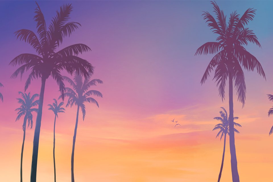 Background image of a sunset and palm trees from GTA 6 branding.