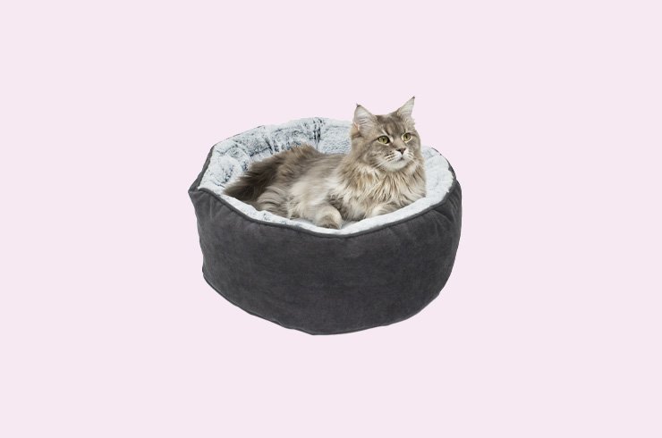 cat accessories argos