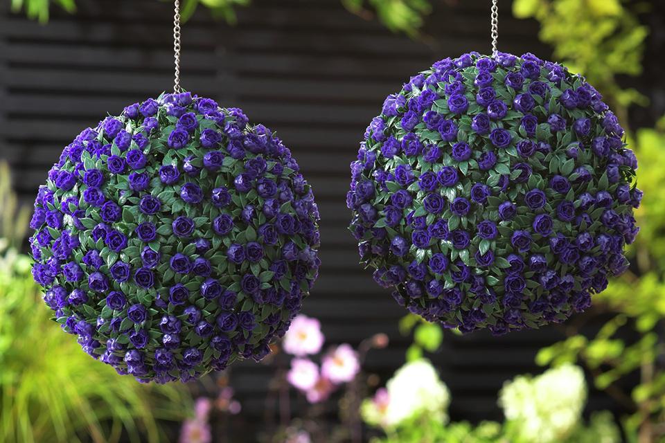 Argos home purple garden topiary balls.