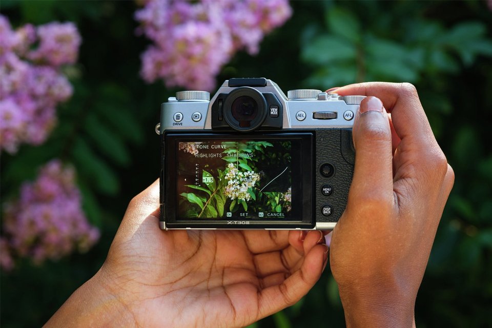 Compact digital cameras.