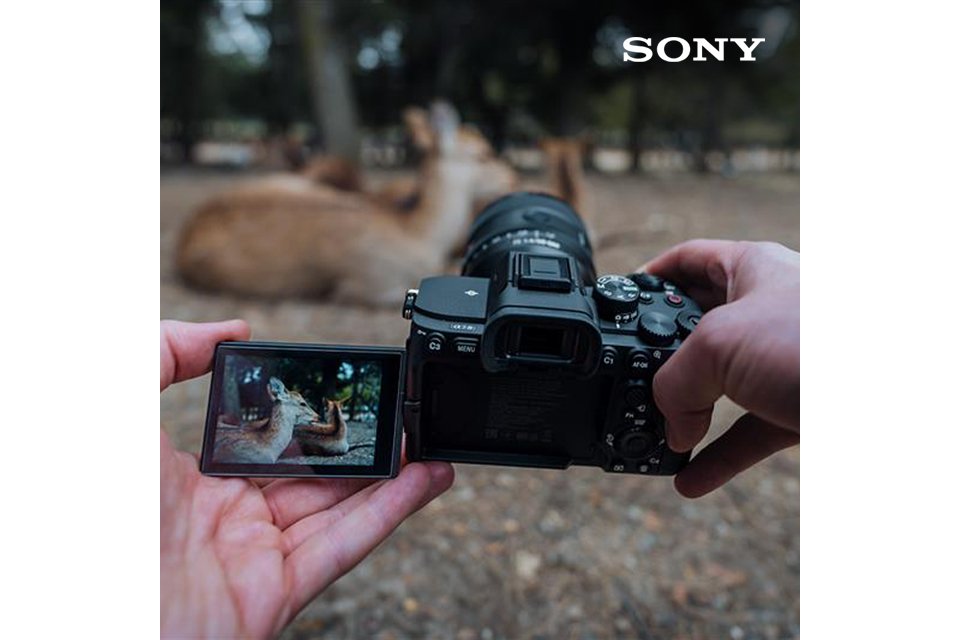 Photography enthusiast. Shop cameras, lenses, telescope and more.