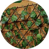 Fence panels & trellis.