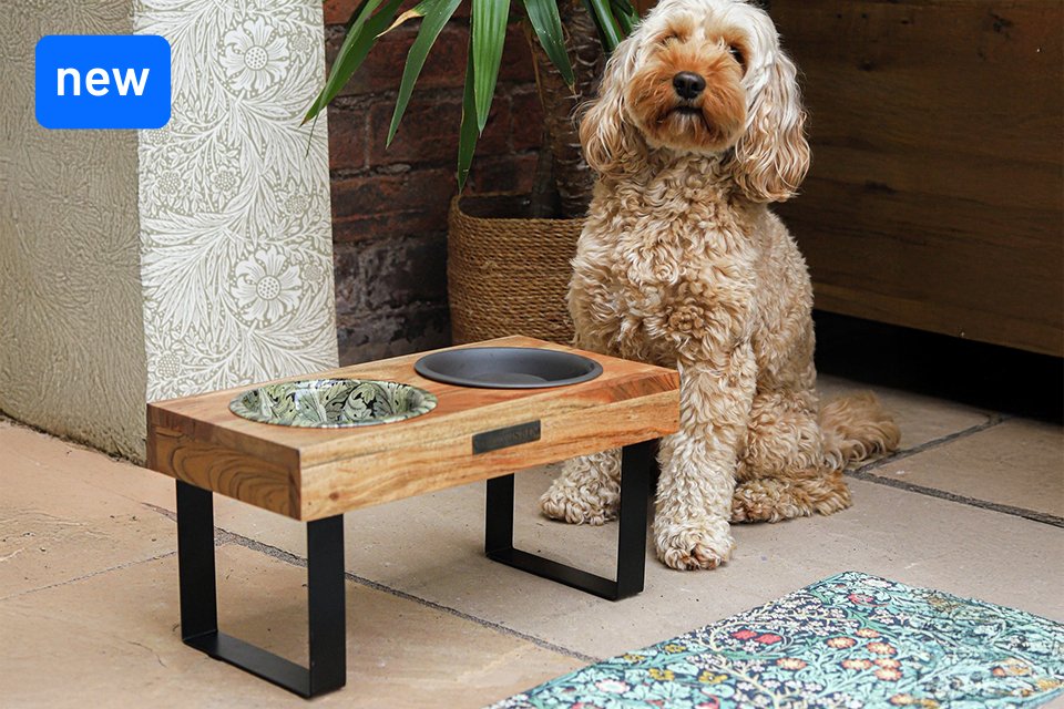 New in. Playtime just got better.
