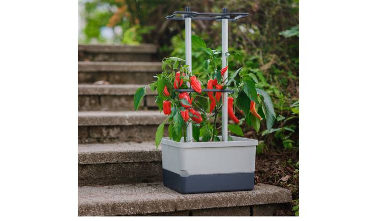 Gusta Garden Charly Chili Self-Watering Chilli Pot with Climbing Aid - Grey