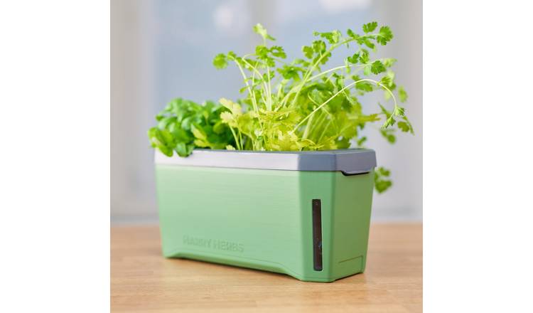 Gusta Garden Harry Herbs 4-in-1 Herb Pot and Water Reservoir - Green