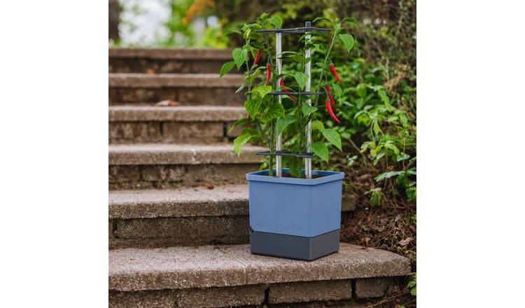 Gusta Garden Charly Chili Self-Watering Chilli Pot with Climbing Aid - XL Blue