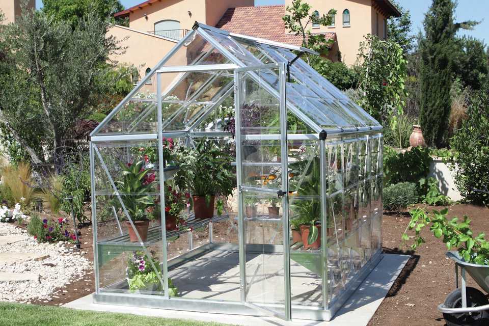 Best greenhouses for new seasoned gardeners Argos