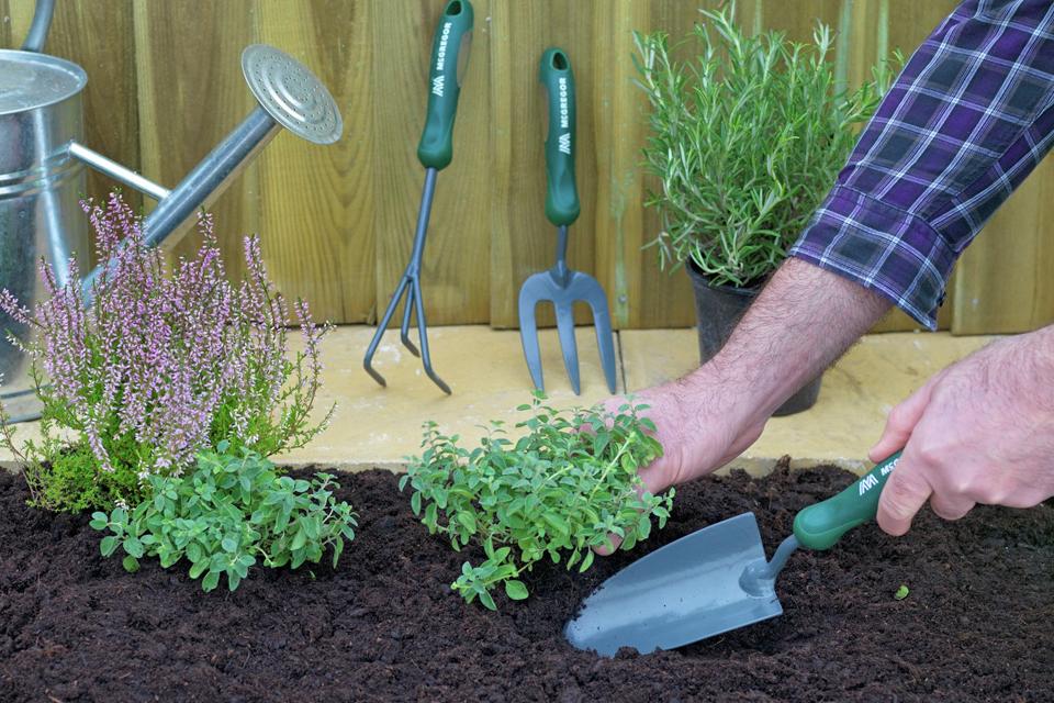 Gardener digging and planting.