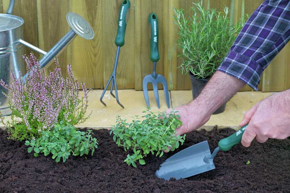Trowel argos deals
