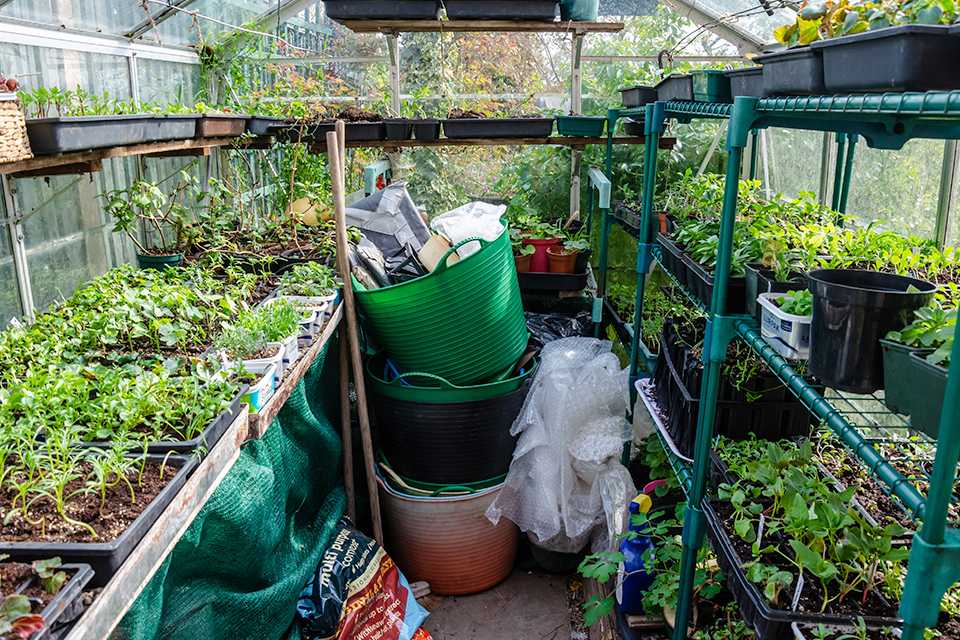 Argos greenhouse deals