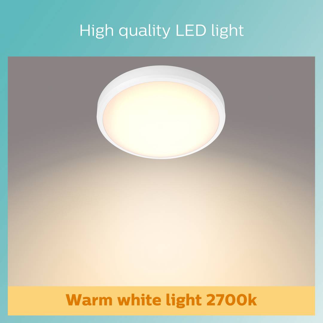 Philips Doris Bathroom Luminaire Flush To Ceiling Light