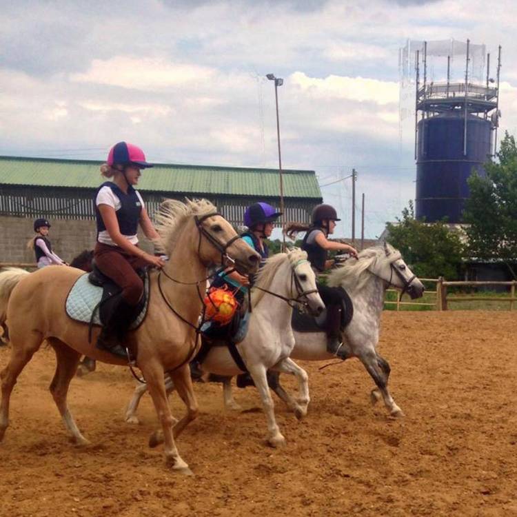 Buyagift One Hour Horse Riding Gift Experience 0