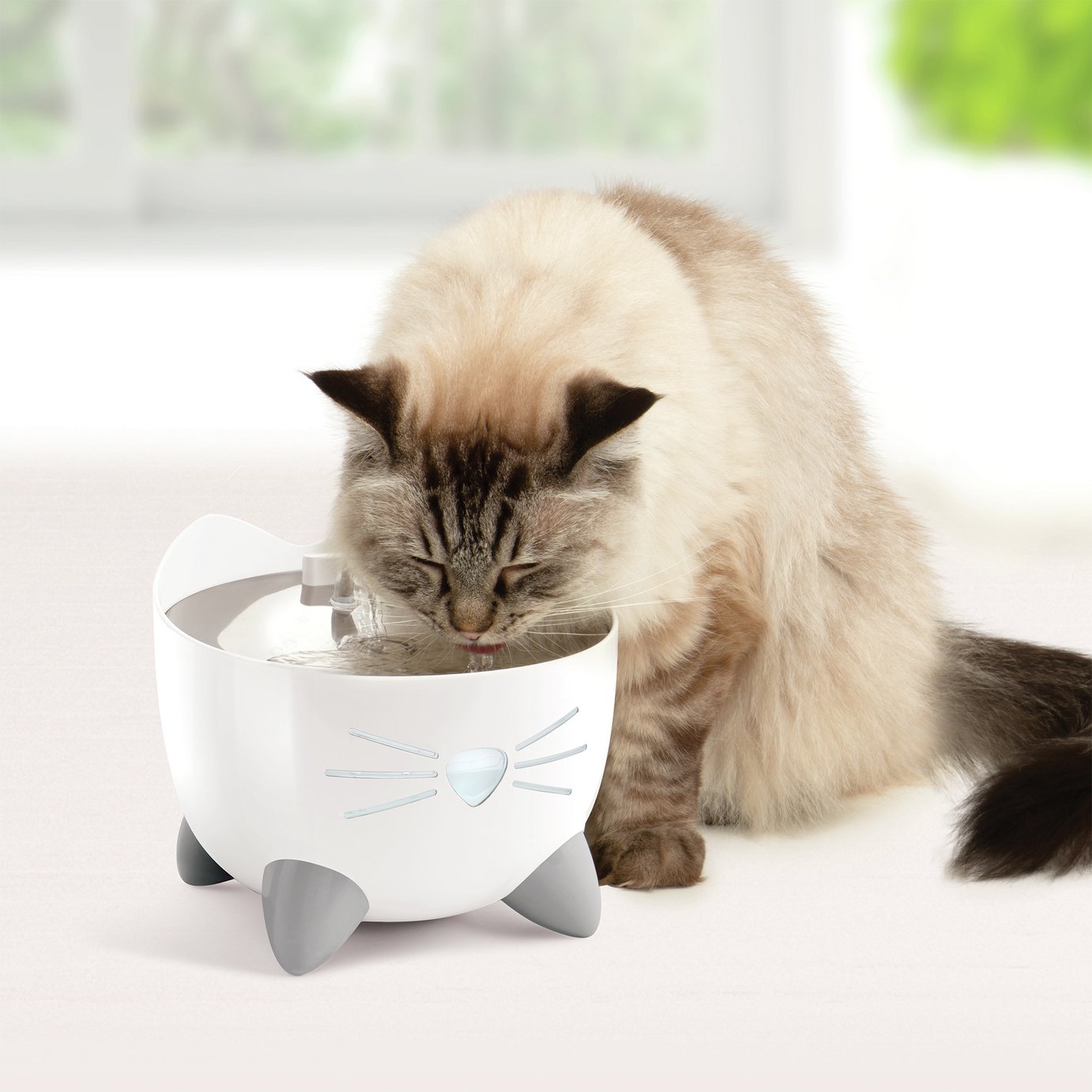 amazon.ca cat water fountain Like New The KittySpout - Wireless Fountain (Vet testimonials)