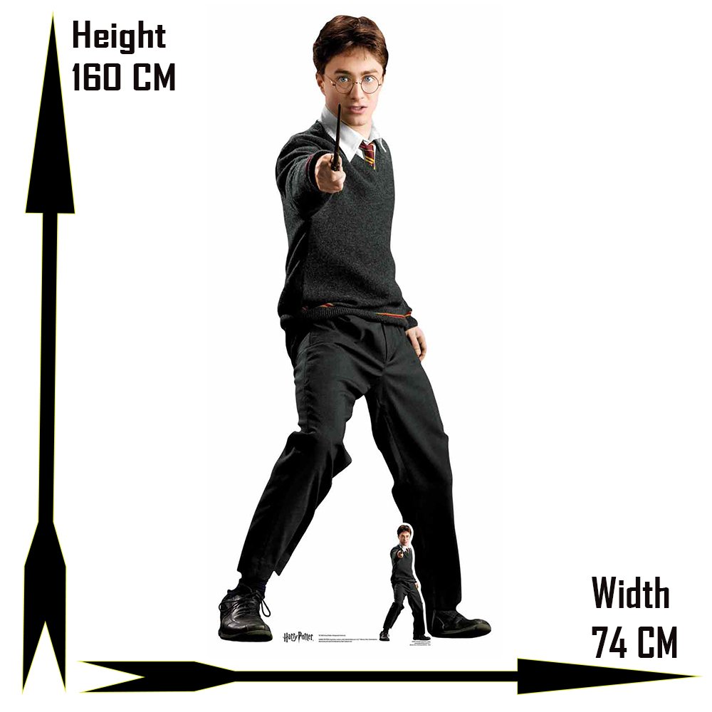 Star Cutouts Harry Potter Hogwarts Cardboard Cutout Review