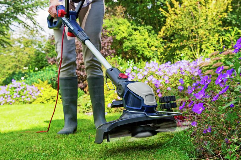 Lawn Care Tips Argos