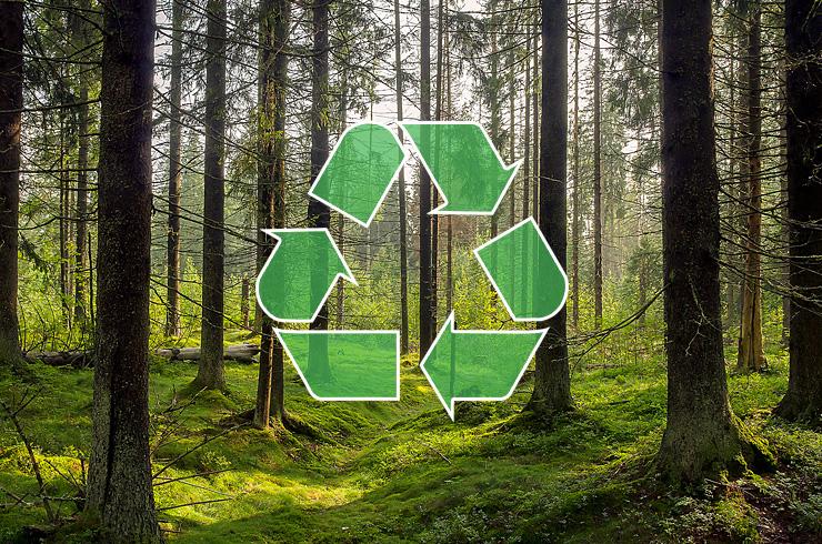 Recycling sign over a forest scene.