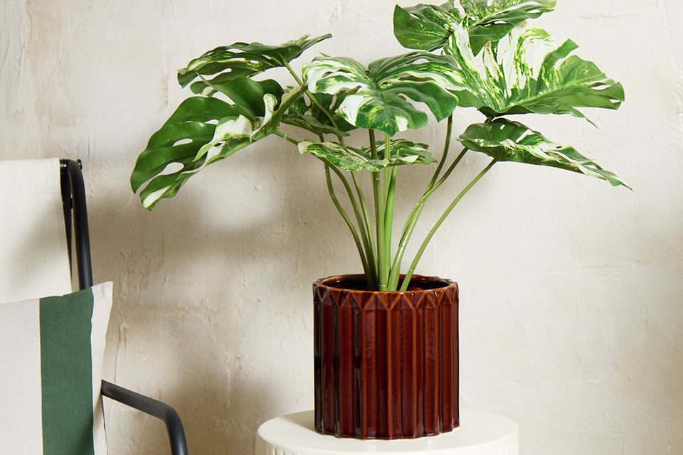 A Home 28 inch tall faux cheese plant.