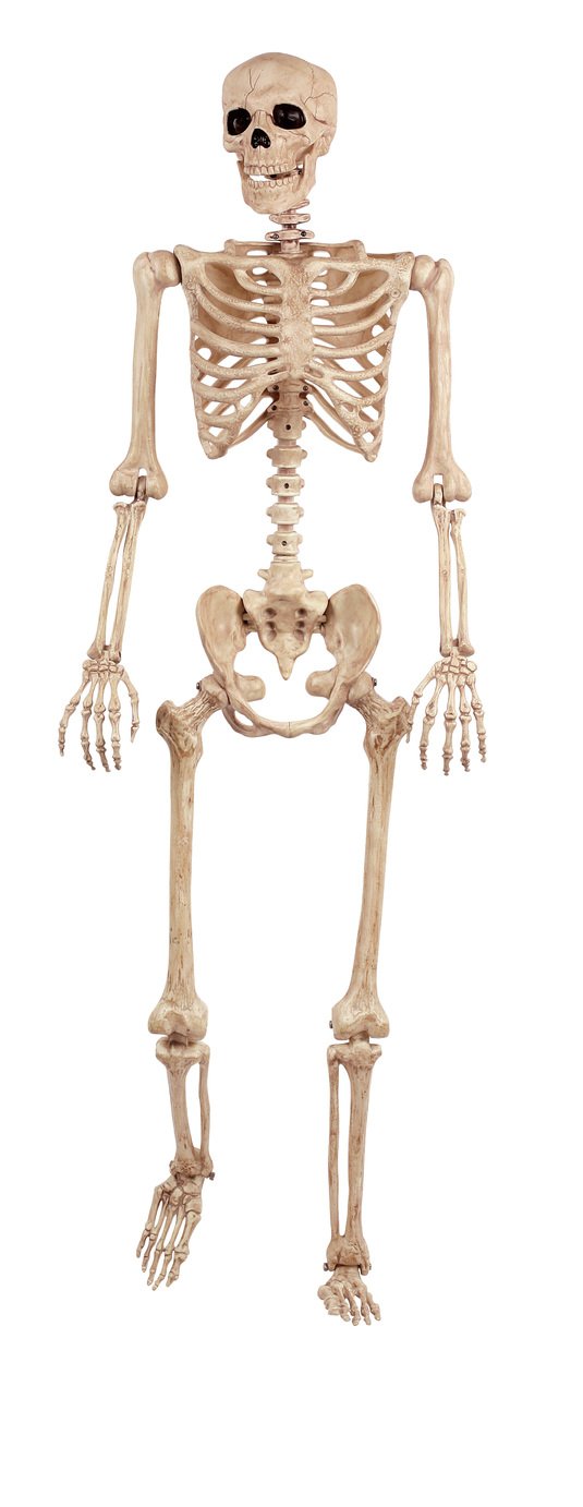 Argos Home Large Hanging Skeleton