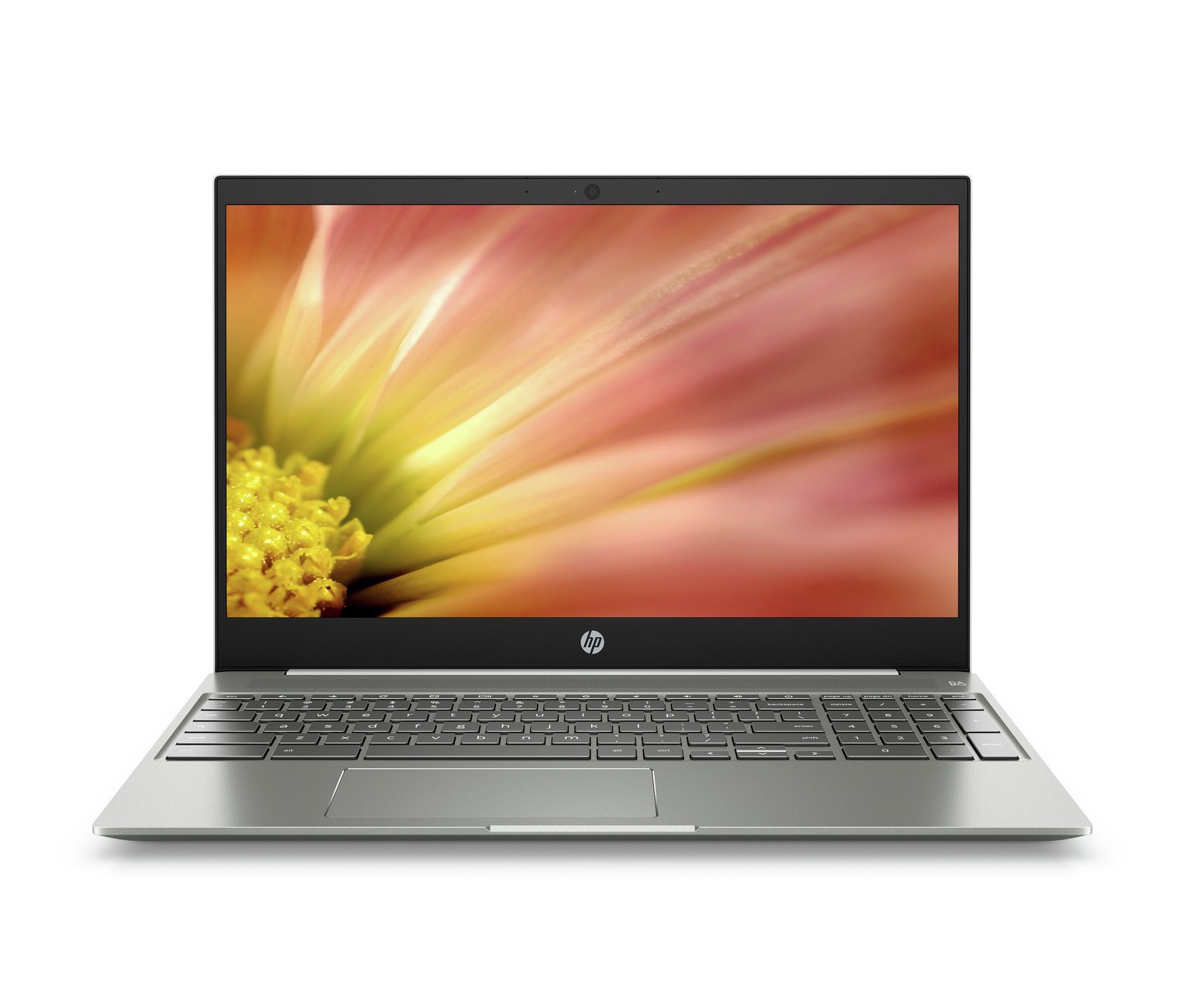 HP 15.6 Inch i5 8GB 128GB FHD Chromebook - White