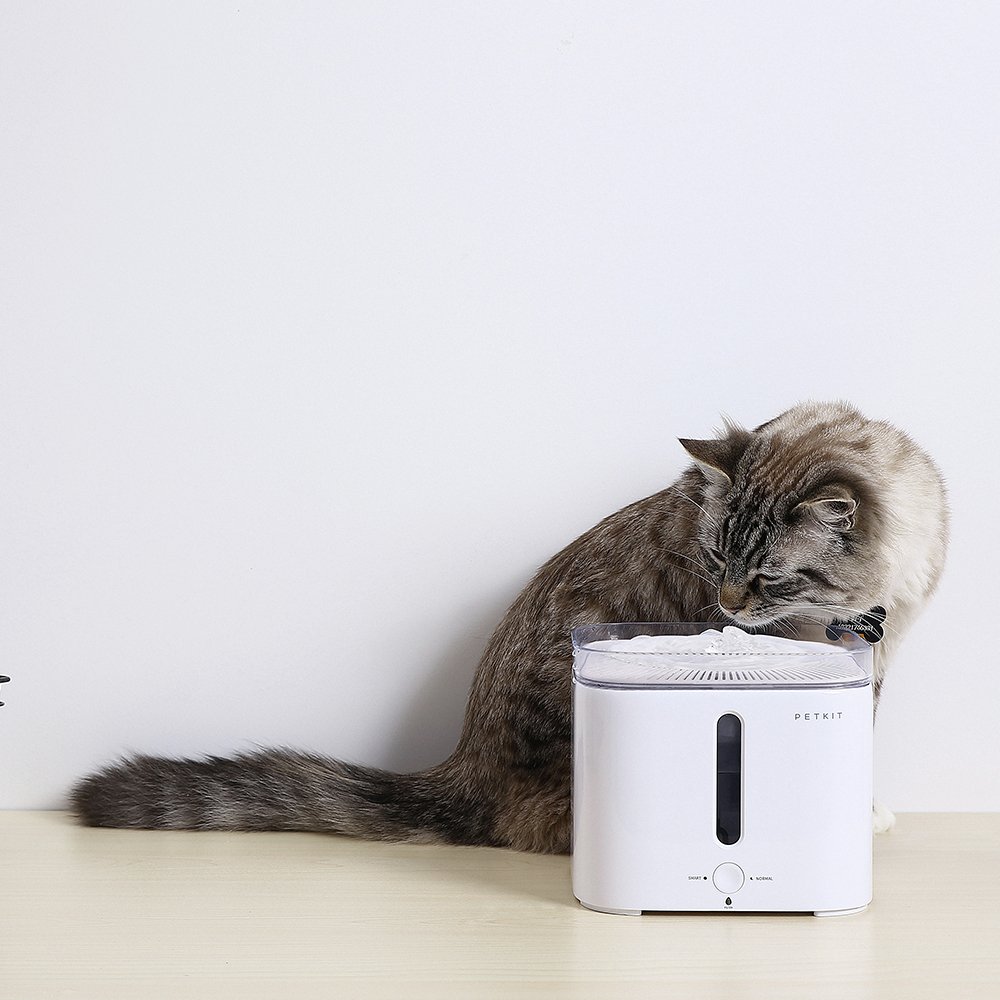 argos cat drinking fountain