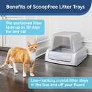 Self cleaning hotsell litter tray argos