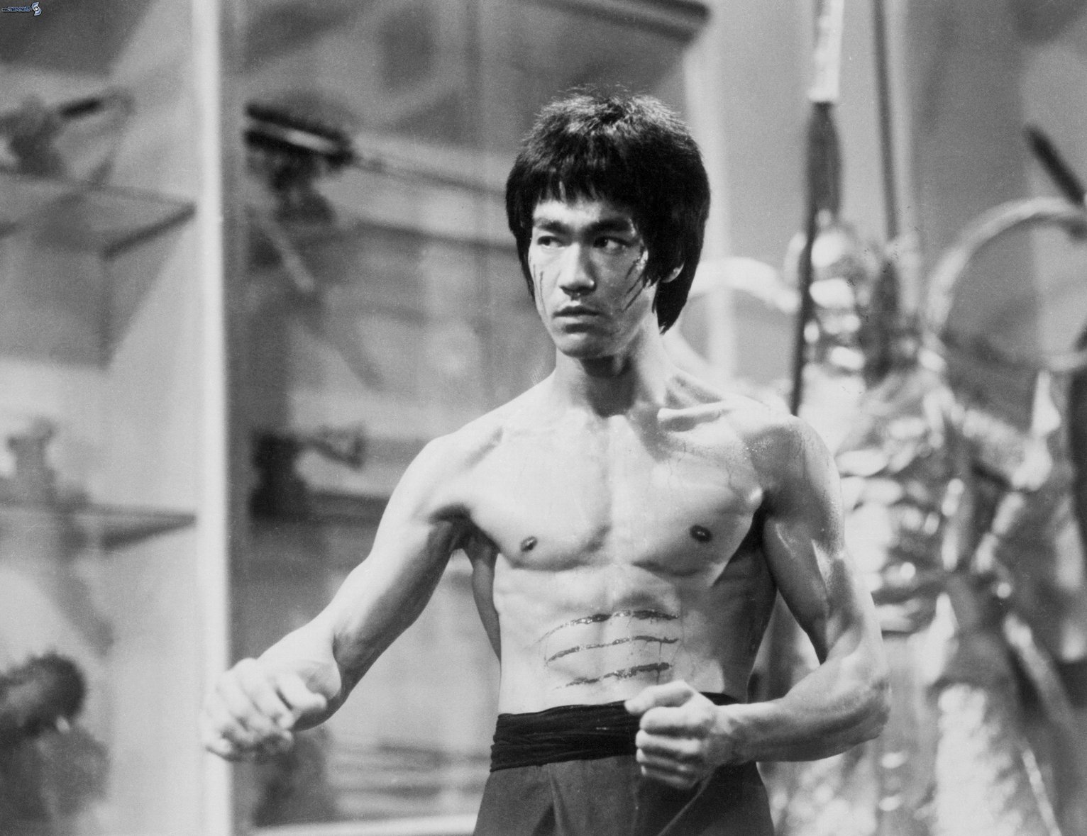 bruce lee the master collection dvd