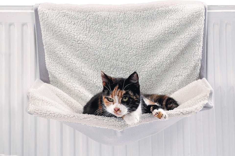 Pet Supplies Pet Shop Argos