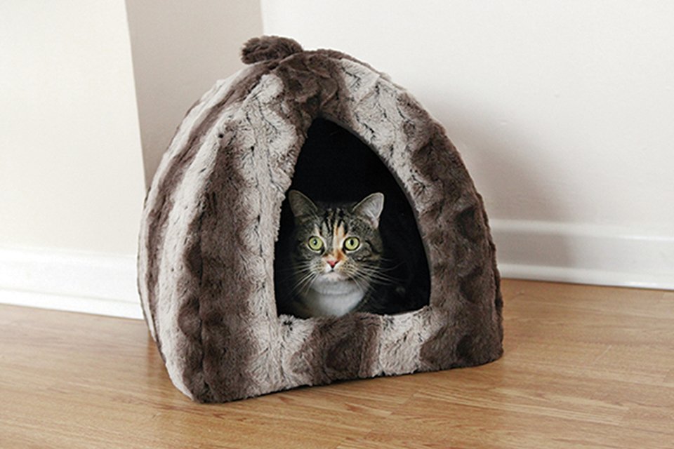 argos cat igloo