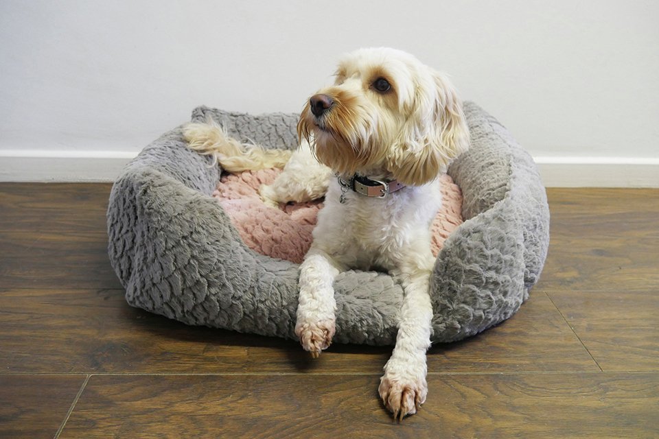 cat radiator bed argos