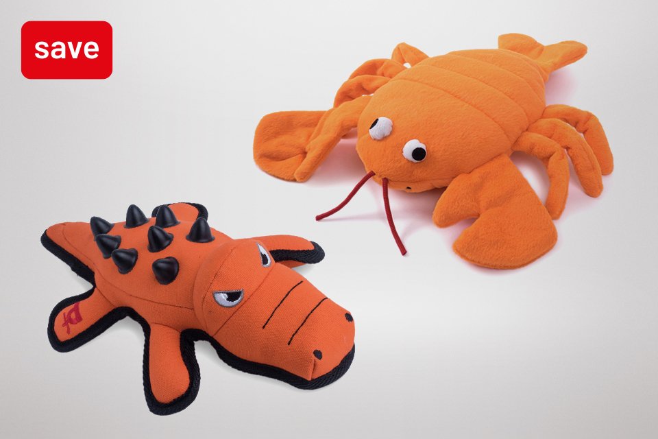 2 for £15 on dog toys. Playtime just got better.