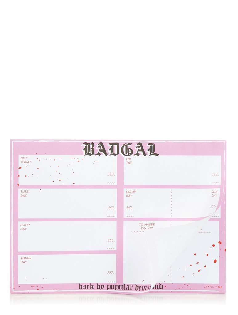 Skinnydip Bad Gal Weekly Planner Pad Review